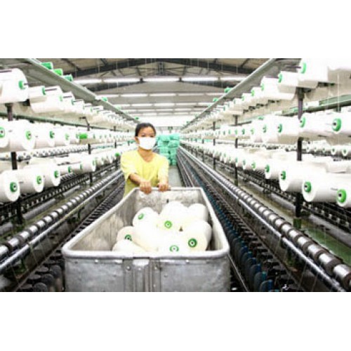 Dây chỉ bó tiền